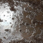 soil after flood soil after flood
