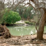 erosion on the banks of a river erosion on the banks of a river
