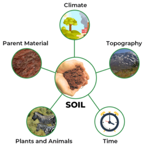 factors involved in soil formation