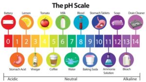 the pH scale related to everyday substances