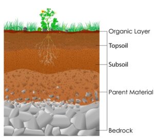 soil layer basics