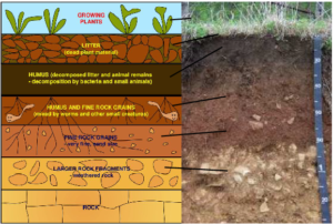 soil layers 2